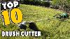 Best Brush Cutter In 2022 Top 10 Brush Cutters Review