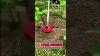 Best Weeding Tools Brush Cutter Attachments
