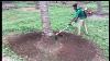 Brush Cutter And Weeder Weed Cutter Machine For Farming