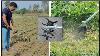 Brush Cutter Performance Test 50cc 4 Stroke Petrol Operated Balwaan Krishi Back Pack Brush Cutter