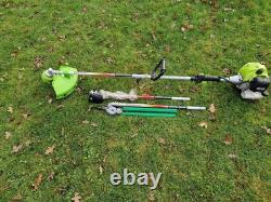 Charles Jacobs Professional Strimmer and Pole Saw