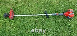 Efco 8300 PROFESSIONAL STRIMMER BRUSHCUTTER LOP HANDLE 30cc