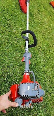 Efco 8300 PROFESSIONAL STRIMMER BRUSHCUTTER LOP HANDLE 30cc