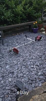Einhell GC-BC 25 AS Petrol Strimmer / Brush Cutter Starts & Runs & Stops
