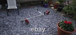 Einhell GC-BC 25 AS Petrol Strimmer / Brush Cutter Starts & Runs & Stops