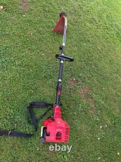 Einhell GC-PT 2538/1 I AS 600 W Petrol 2-stroke strimmer brush cutter trimmer