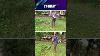 Gt Shakti Brush Cutter Powerful 4 Stroke Machine For Farming U0026 Gardening Easy Grass Cutting
