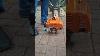 How To Cold Start A Stihl Fs230 Brush Cutter Brushcutter Michaelstoolbench Fs230