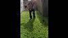 How To Start A Petrol Brush Cutter And Clear A Jungle Like Lawn Fast