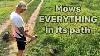Petrol Brushcutter Against Wild Grass Who S Who Grass Mowing Process