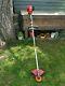 Petrol Strimmer