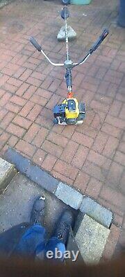 Petrol strimmers used