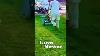 Professional Lawn Care Machines Built For Perfection Farming Machine Agriculture