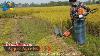 Rice Harvesting Brush Cutter 4 Stroke Petrol Engine Appro Agri Tech