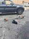 Stihl Fs 131 Strimmer Brush Cutter Clearing Cord Harness 2018