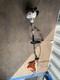 Stihl Fs 38 2 Mix Petrol Strimmer Garden 2 Stroke Brush Cutter