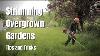 Strimming Overgrown Gardens Knee High Wet Grass Tips And Tricks