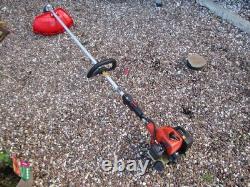 Tanaka petrol strimmer