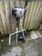 Titan Brush Cutter Ttl530gbc