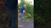 Using The Stihl Fs 94c Petrol Brush Cutter Strimmer Garden Gardening