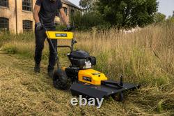 Coupe-bordure Texas Multi Cut 201cc avec moteur HONDA, débroussailleuse
 <br/>  