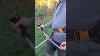 Débroussailleuse Stihl Fs94 Étrangement Satisfaisante