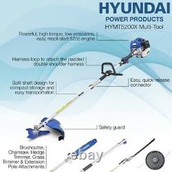 Hyundai 52cc Petrol Garden Multi Tool Hymt5200x, Nouvelle Boîte, Collecte À Cornwall