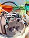Stihl Fs240 Fs260 Fs360 Fs410 Fs460 Coupe-bordures / Débroussailleuse à Essence, Moteur D'occasion